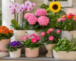 10 Beautiful Flowers and Plants to Give for Mother’s Day