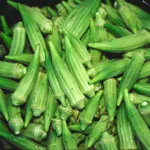 Okra (Abelmoschus esculentus) – characteristic appearance, plant photo