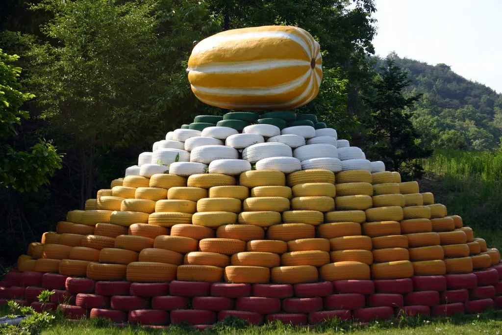 Koreanische Melone (Cucumis melo Makuwa Group) – typisches Erscheinungsbild, Pflanzenfoto