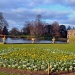 Dichternarzisse 'Actaea' (Narcissus 'Actaea') – Pflanzenfoto