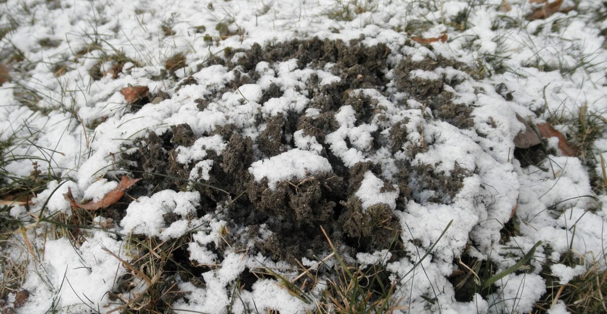Frost heaving