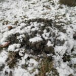 Frost heaving