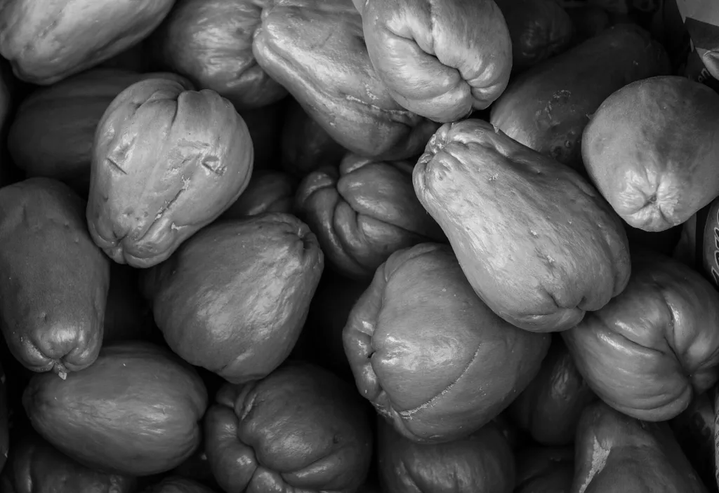 Chayote (Sechium edule) – characteristic appearance, plant photo