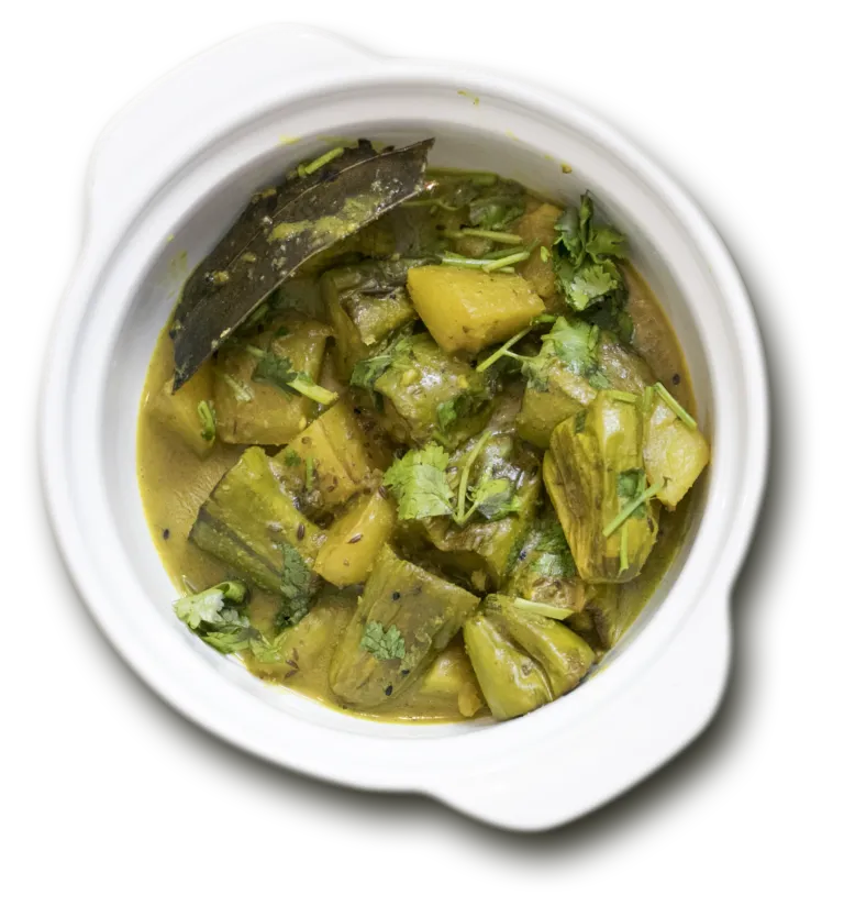 Pointed Gourd (Trichosanthes dioica) – seeds and fruit, plant photo