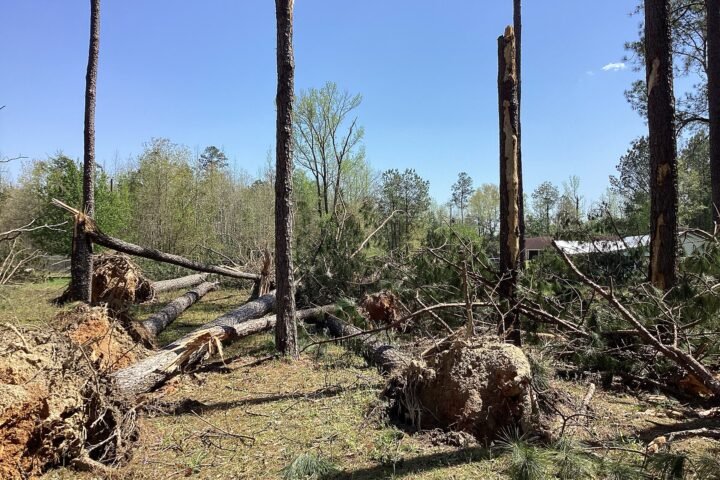 Wind damage