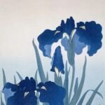 Iris ensata – zdjęcie rośliny