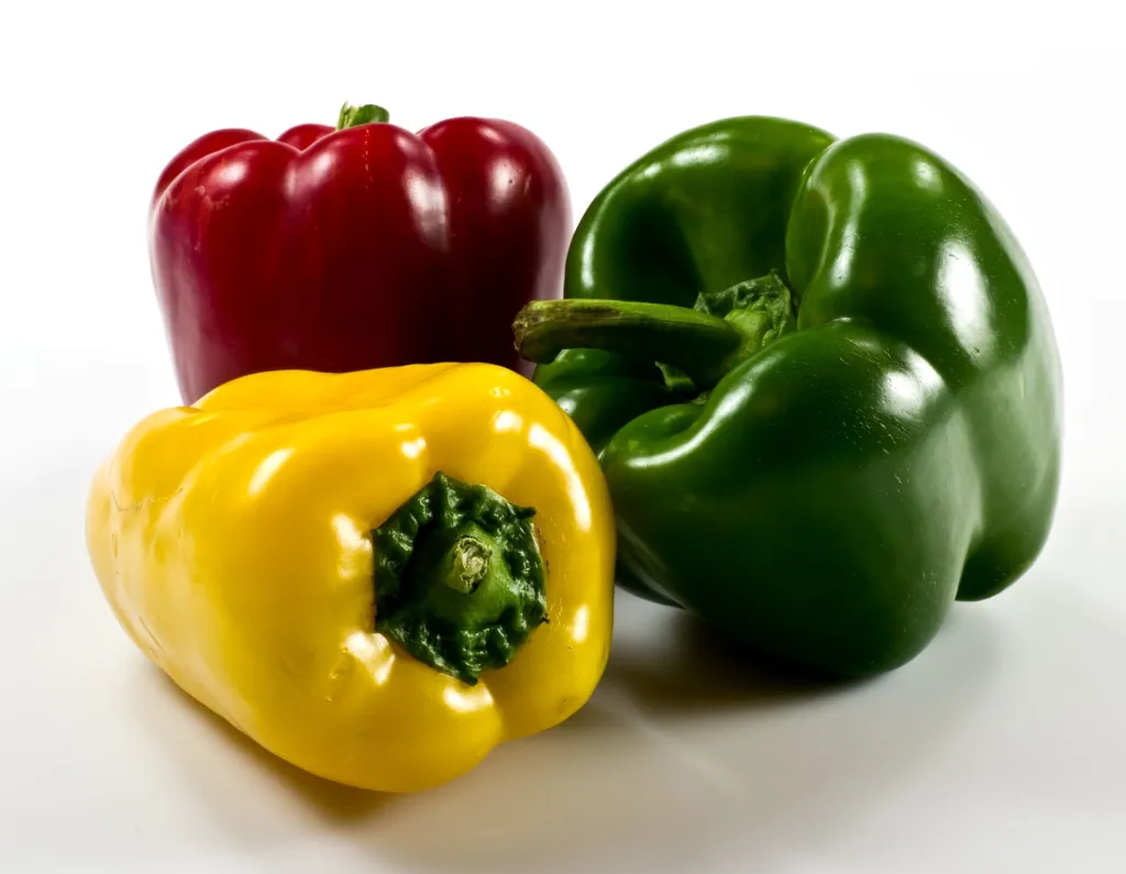 peperone e peperoncino (Capsicum annuum) – fruit in close-up, plant photo