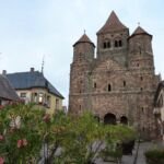 Nerium oleander 'Alsace' – fotografia rastliny