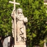 palma kanaryjska (Phoenix canariensis) – zdjęcie rośliny