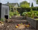 Ratten im Garten bei Tageslicht: Was es bedeutet und wie du richtig handelst