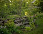Die Deadwood-Ästhetik: So wird Gartenabfall zur funktionalen Grundstücksgrenze