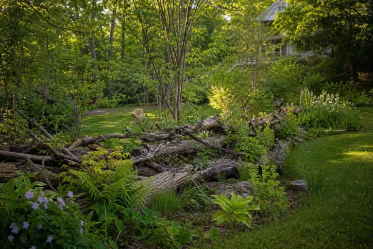 Die Deadwood-Ästhetik: So wird Gartenabfall zur funktionalen Grundstücksgrenze